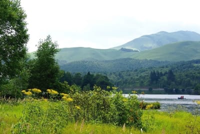 Gkz  9  vbekdz - Eugenol