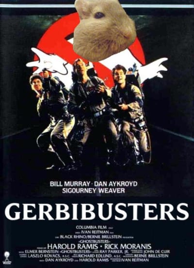 Gerbi qwnh5d - Eugenol