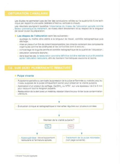 Has 3 hp5wiy - Eugenol