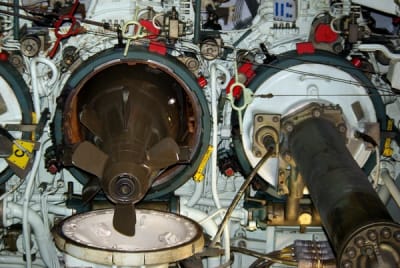 I3070 6 raulmt - Eugenol