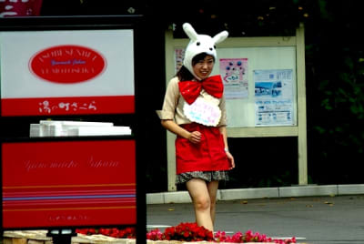 I3245640 fynsrz - Eugenol