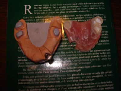 Imgp0256 v00pzb - Eugenol