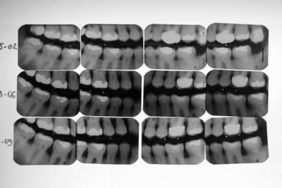 Imgp1380 qpsdjo - Eugenol