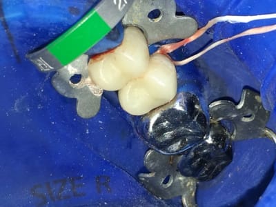 Img 0687 l06xvp - Eugenol