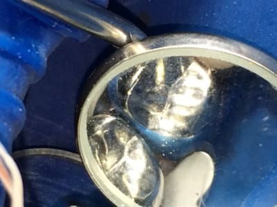 Img 0689 zcshmk - Eugenol