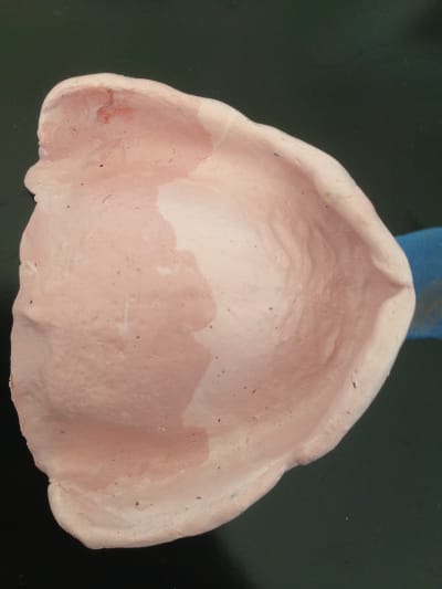 Img 1075 cjlfxv - Eugenol