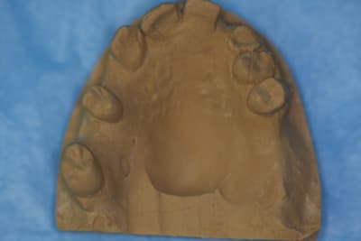 Img 1242 at1ciu - Eugenol