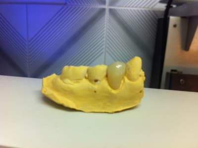 Img 1874 squjqp - Eugenol