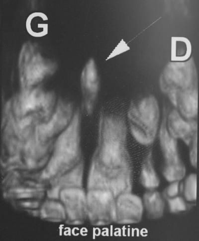 Img 2024 u4rw2u - Eugenol