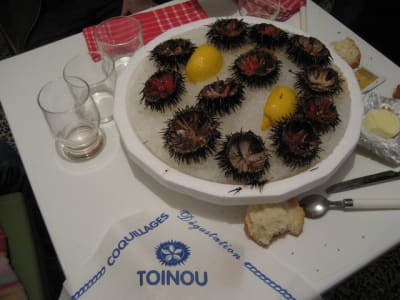 Img 2025 d9he8i - Eugenol