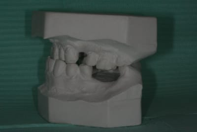 Img 2642 hdb9rw - Eugenol