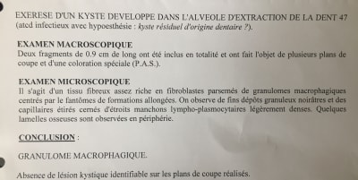 Img 3190 iod9zk - Eugenol