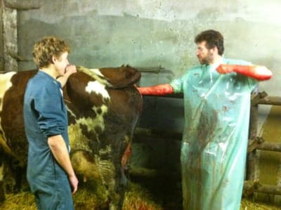 Img 3386 onegxb - Eugenol