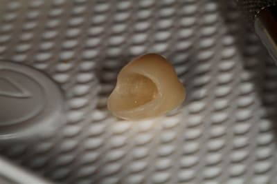 Img 5018 aaqnej - Eugenol