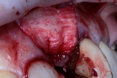 Img 5299 amu0zh - Eugenol