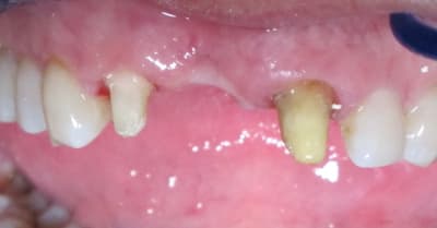 Img 5806 jqg7yr - Eugenol