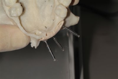 Img 6272 yuq0ul - Eugenol