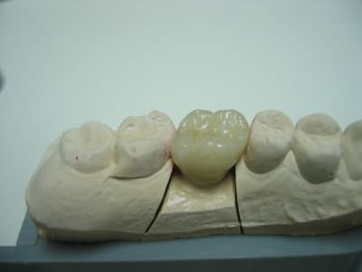 Img 7105  640x480  igocba - Eugenol
