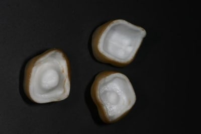 Img 7276  medium  tujtf6 - Eugenol