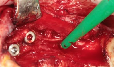 Img 7594 j7d3l7 - Eugenol