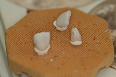 Img 8911 jp6bzz - Eugenol