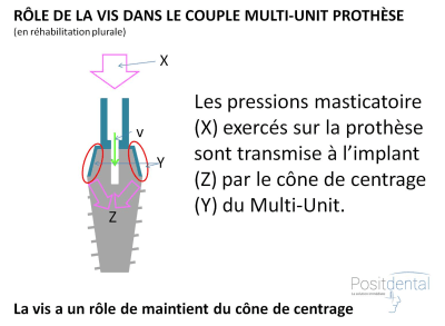 Image1 xxxkfy - Eugenol