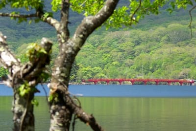 Jb  4  revxqd - Eugenol