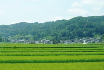 Ktw  5  eyxx5t - Eugenol