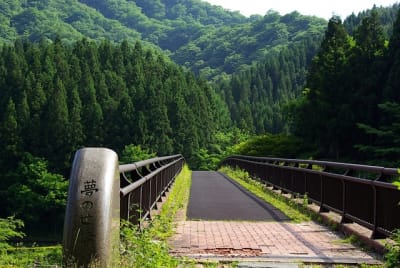 Kw  16  zntzcz - Eugenol