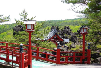 Kw  9  dj4sjn - Eugenol