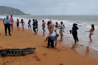 Ka man on the beach 05 e4wxue - Eugenol