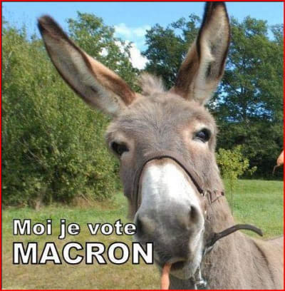 Macron et ses fans mvpvlo - Eugenol