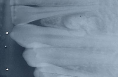 Manuel 1 l0pzqq - Eugenol