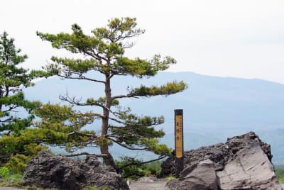 Ngn  10  niwoq5 - Eugenol