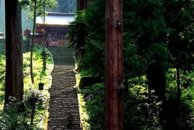 Ntk  11  jtyng1 - Eugenol