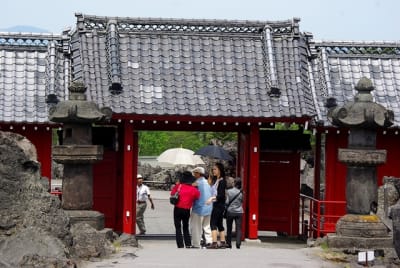 Ntk  13  kmi3co - Eugenol