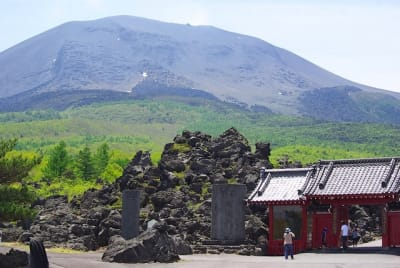 Ntk  2  l5wjbn - Eugenol