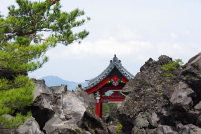 Ntk  3  u8qh6k - Eugenol