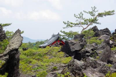 Ntk  6  c7r0em - Eugenol