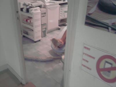 P090710 18 - Eugenol