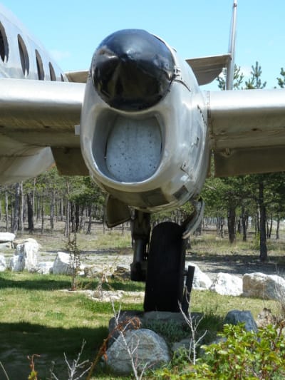 P1010434 zvoy9d - Eugenol