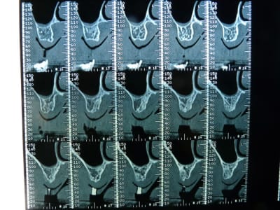 P1050006 vnk8kb - Eugenol