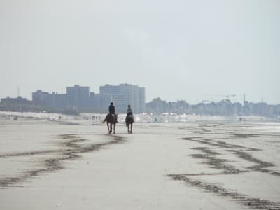 P1120554 ugsbub - Eugenol