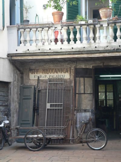 P1130222 ipy5ps - Eugenol