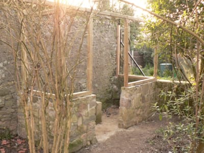 P1140566 tnxqpi - Eugenol