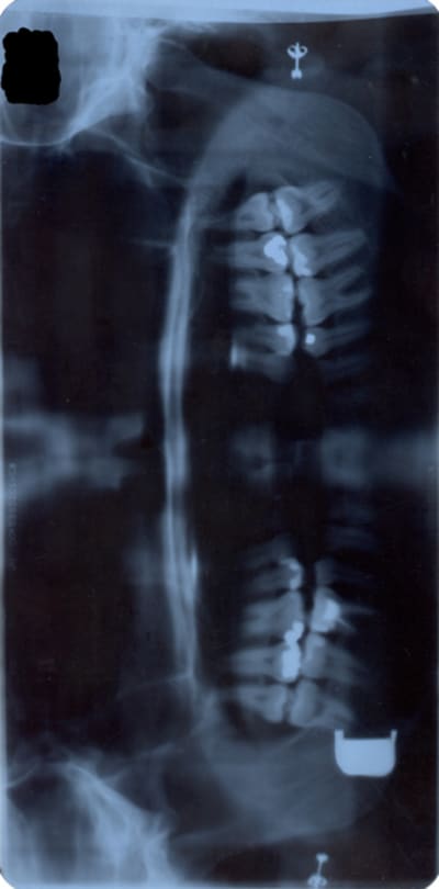 Panoramique2 lqvmxw - Eugenol
