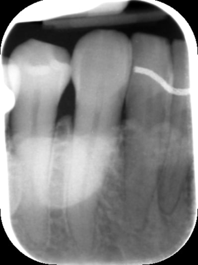 Pastedgraphic 1 dk0gbg - Eugenol