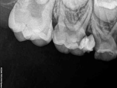 R1h waqz4l - Eugenol