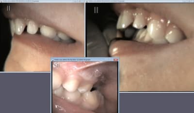 Rt surplomb g7xqbc - Eugenol