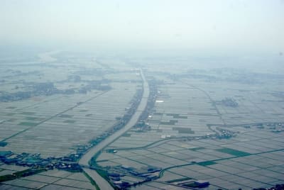 Rz3 czm1t5 - Eugenol